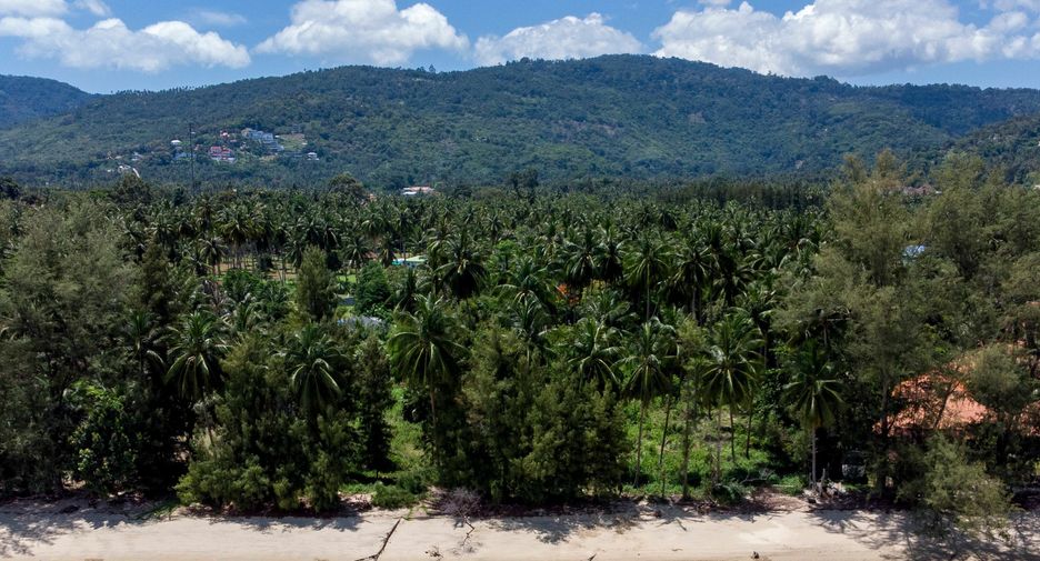 Grundstück zum Kauf in Ko Samui, Surat Thani