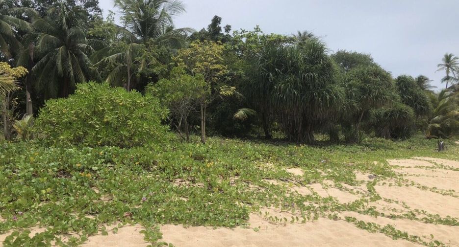 For sale land in Ko Samui, Surat Thani