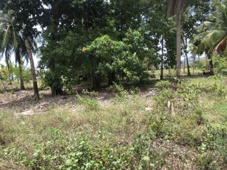 Terreno en venta en Ko Samui, Surat Thani