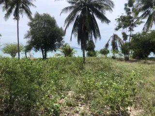 出售 土地 在 苏梅岛, 素叻