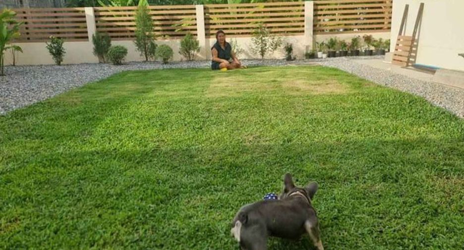 For sale 4 bedrooms house in Mae Rim, Chiang Mai