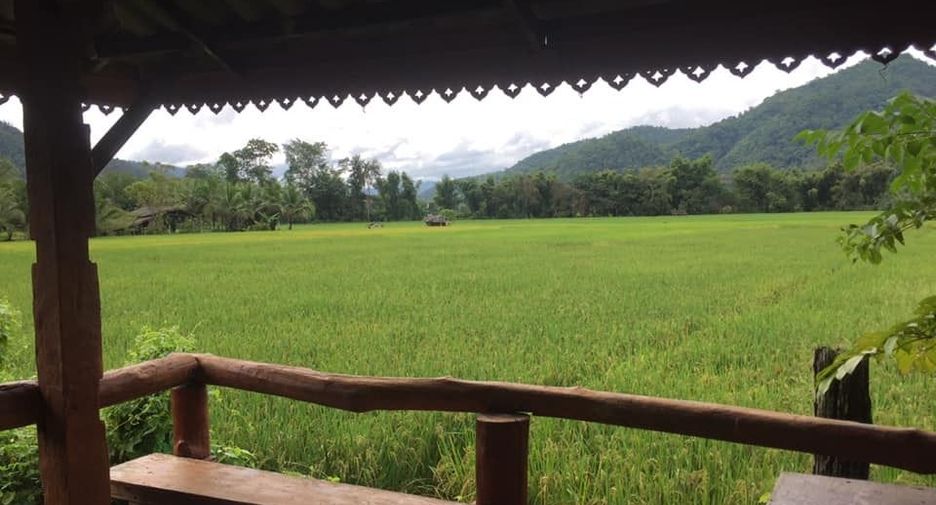 For sale 2 bedrooms house in Samoeng, Chiang Mai