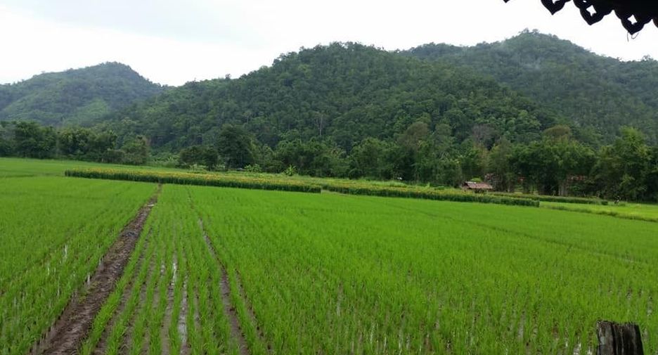 For sale 2 bedrooms house in Samoeng, Chiang Mai