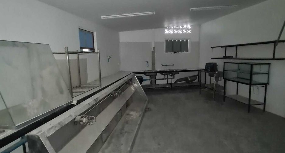 For sale 1 bed retail Space in Ko Samui, Surat Thani