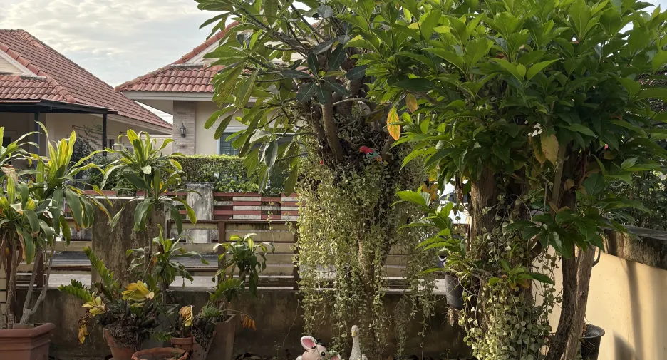 Casa en venta y en alquiler de 3 habitaciones en Mueang Rayong, Rayong