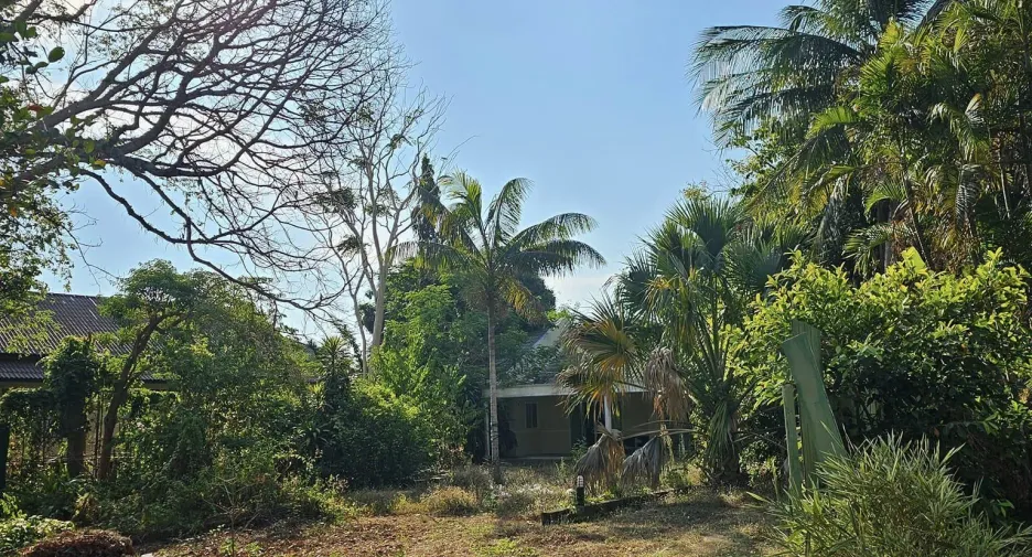 For sale studio house in Ko Samui, Surat Thani