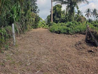 For sale land in Ko Samui, Surat Thani