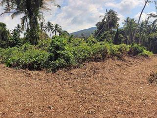 For sale land in Ko Samui, Surat Thani