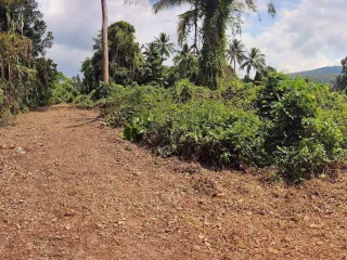 For sale land in Ko Samui, Surat Thani