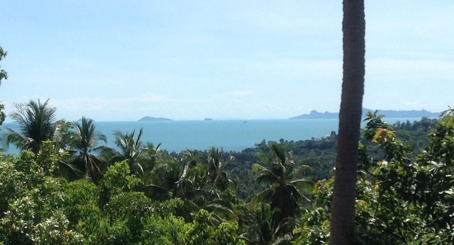 For sale land in Ko Samui, Surat Thani