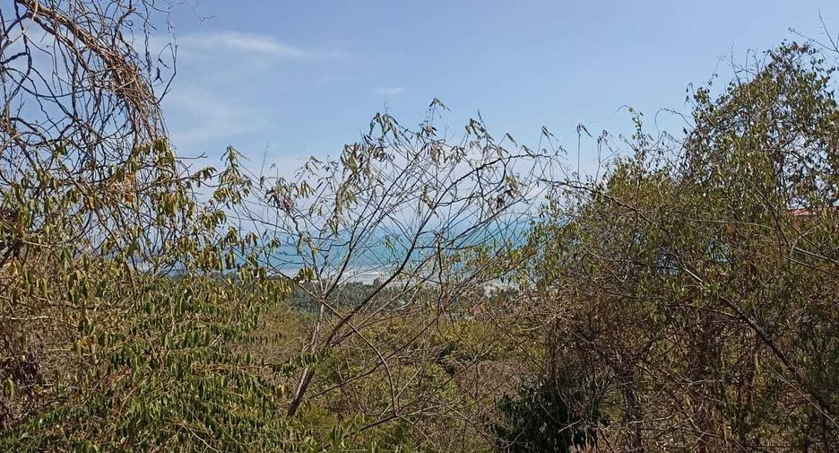 出售 土地 在 苏梅岛, 素叻