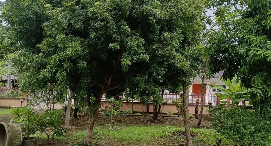 For sale 4 bedrooms house in Mae On, Chiang Mai
