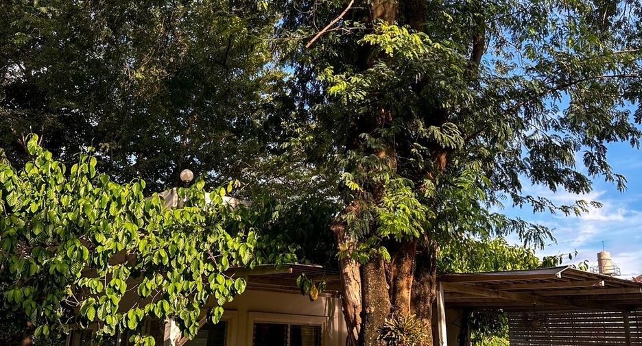 For rent 3 bedrooms house in Mueang Chiang Mai, Chiang Mai