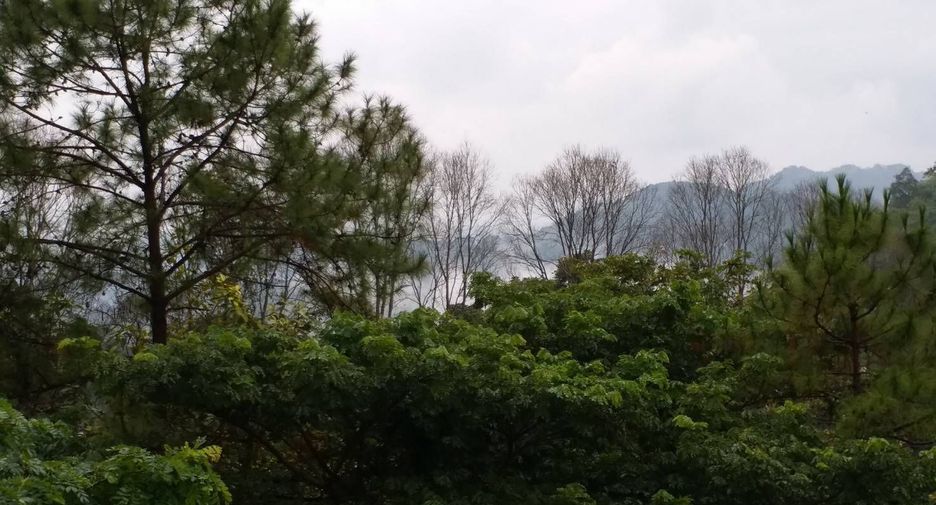 For sale 3 bedrooms house in Mae Rim, Chiang Mai