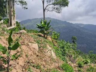 Grundstück zum Kauf in Ko Samui, Surat Thani