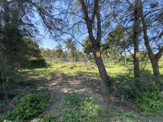 For sale land in Bang Saphan, Prachuap Khiri Khan