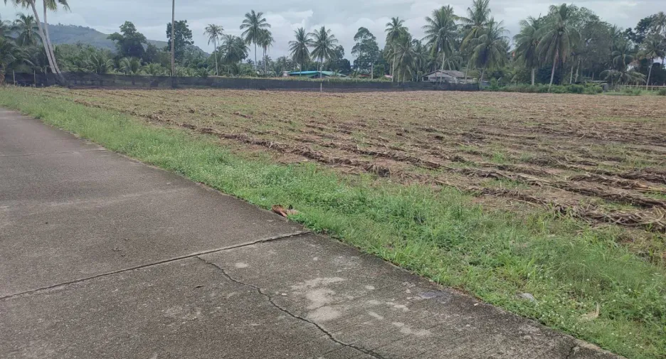 ขาย ที่ดิน ใน ถลาง, ภูเก็ต