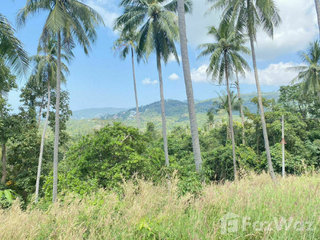 For sale land in Ko Samui, Surat Thani