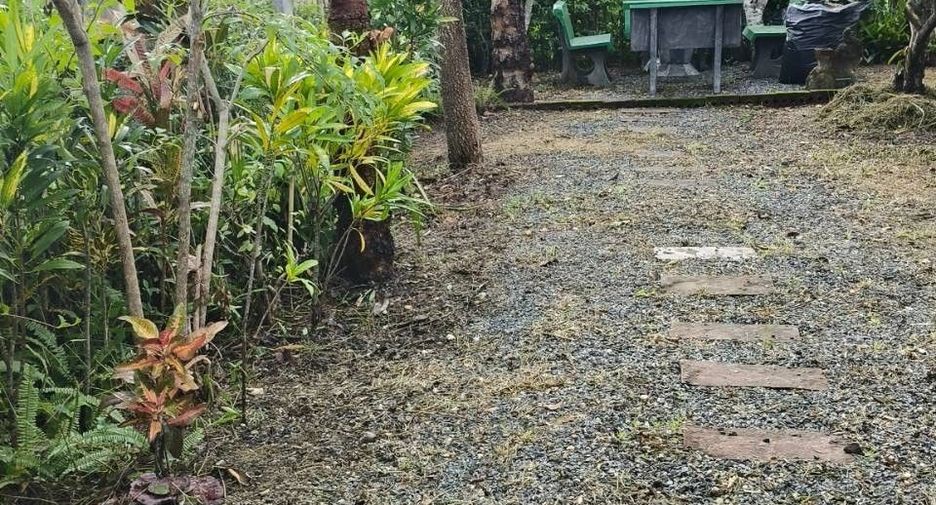 出售 和 出租 3 卧室 独立屋 在 Doi Saket, Chiang Mai
