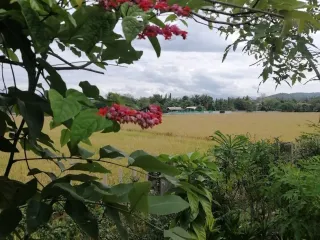 For rent 3 bedrooms house in Doi Saket, Chiang Mai
