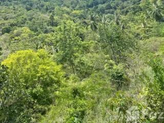 For sale land in Ko Samui, Surat Thani