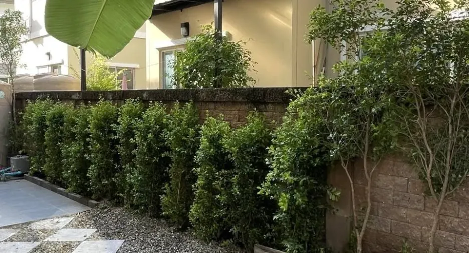 For rent 3 ベッドルーム house in San Kamphaeng, Chiang Mai