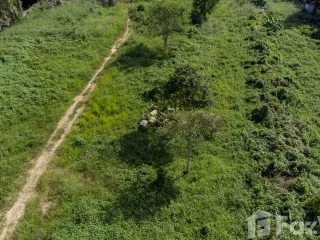 Terreno en venta en Ko Samui, Surat Thani