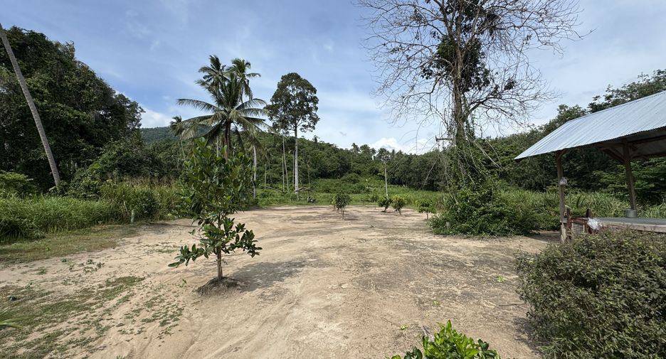 For sale land in Ko Samui, Surat Thani