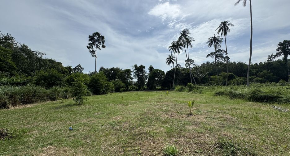 For sale land in Ko Samui, Surat Thani