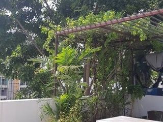 Casa adosada en venta de 3 habitaciones en Chatuchak, Bangkok