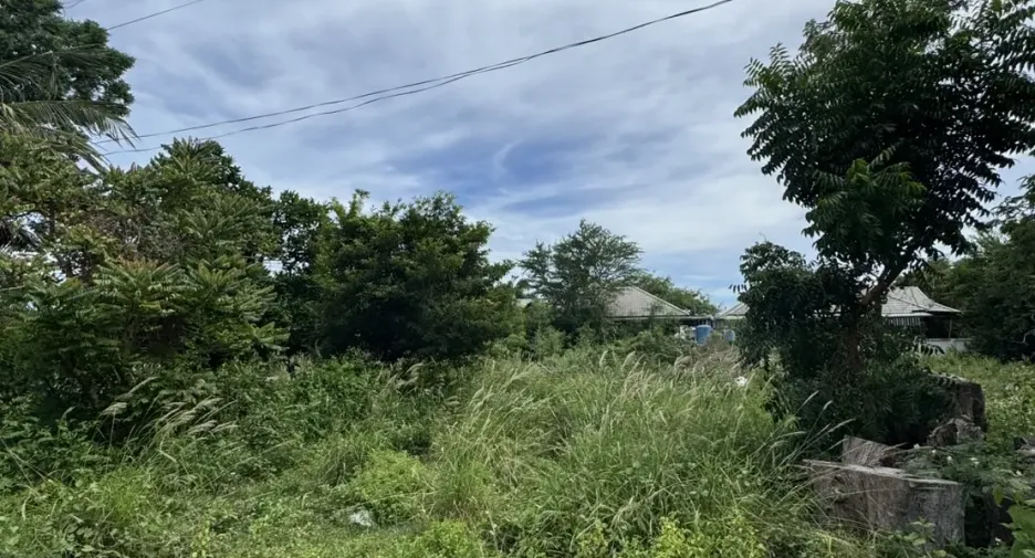 For sale land in Cha Am, Phetchaburi