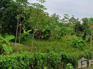 Terreno en venta en Thalang, Phuket