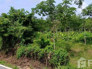 Terreno en venta en Thalang, Phuket
