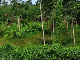 Terreno en venta en Thalang, Phuket