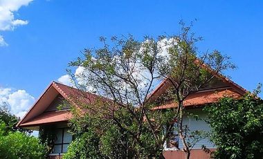 For sale 5 bedrooms house in Mueang Chiang Mai, Chiang Mai