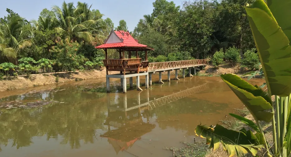 À vendre 4 chambres maison à Phimai, Nakhon Ratchasima