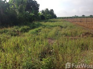 Terreno en venta en Mae Taeng, Chiang Mai