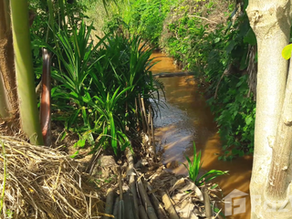 Terreno en venta en Mae Taeng, Chiang Mai