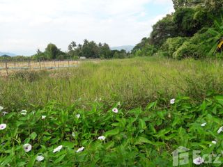 Terreno en venta en Mae Taeng, Chiang Mai