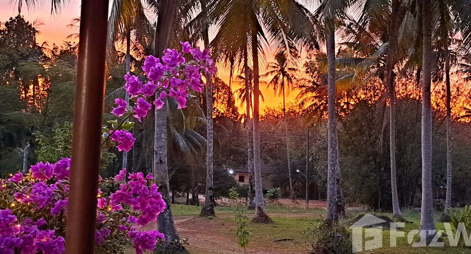 For sale land in Ko Chang, Trat