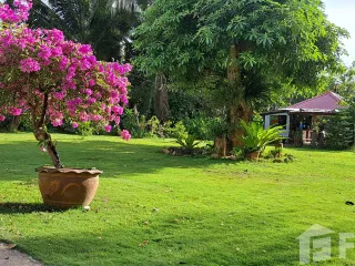 ขาย ที่ดิน ใน เกาะช้าง, ตราด