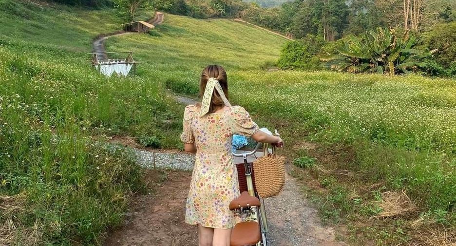 Hotel en venta de 5 habitaciones en Mae Taeng, Chiang Mai
