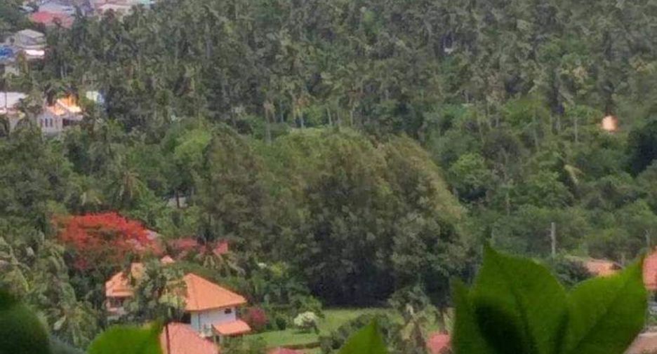 For sale land in Ko Samui, Surat Thani