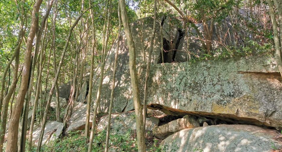 For sale land in Ko Samui, Surat Thani