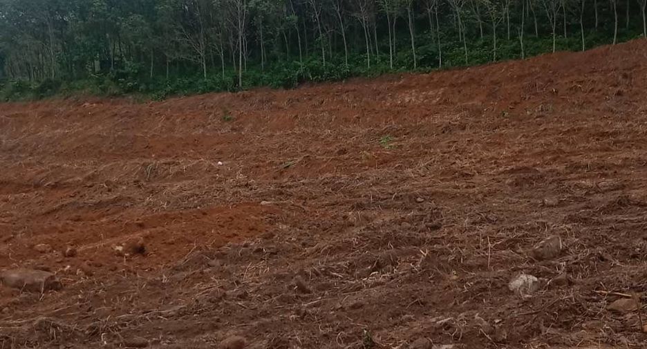 Продажа Участок в Тхаланг, Пхукет