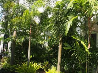 For sale and for rent 1 bed condo in Thalang, Phuket