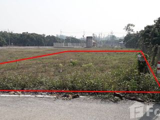 For sale land in San Pa Tong, Chiang Mai