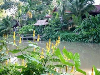 For sale 3 bedrooms house in Saraphi, Chiang Mai