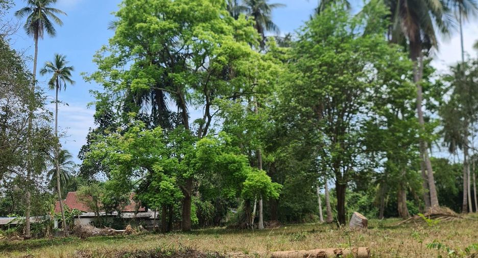 For sale land in Ko Samui, Surat Thani