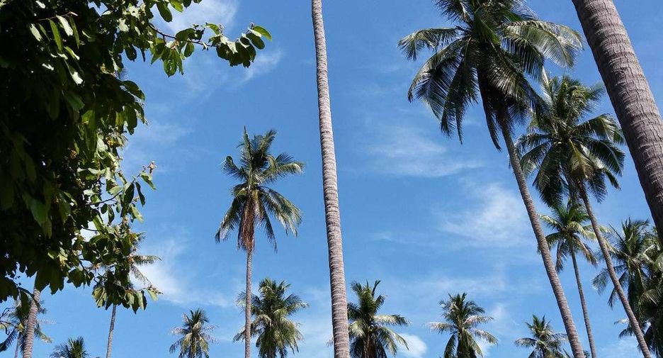 For sale land in Ko Samui, Surat Thani